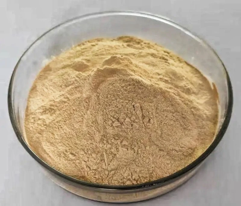 Lemon Extract Powder Lemon Extract Powder